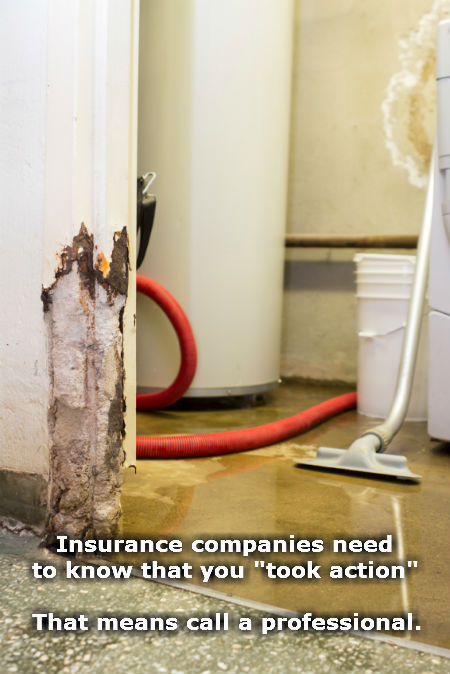 Emergency Water Damage Remediation Contractor For: Bellevue, Des Moines, Issaquah, Kirkland, Mercer Island, Medina, Redmond, Renton, Sammamish, Seattle, West Seattle