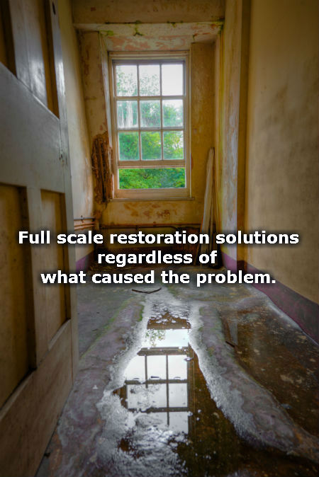 Emergency Water Damage Remediation Contractor For: Bellevue, Des Moines, Issaquah, Kirkland, Mercer Island, Medina, Redmond, Renton, Sammamish, Seattle, West Seattle