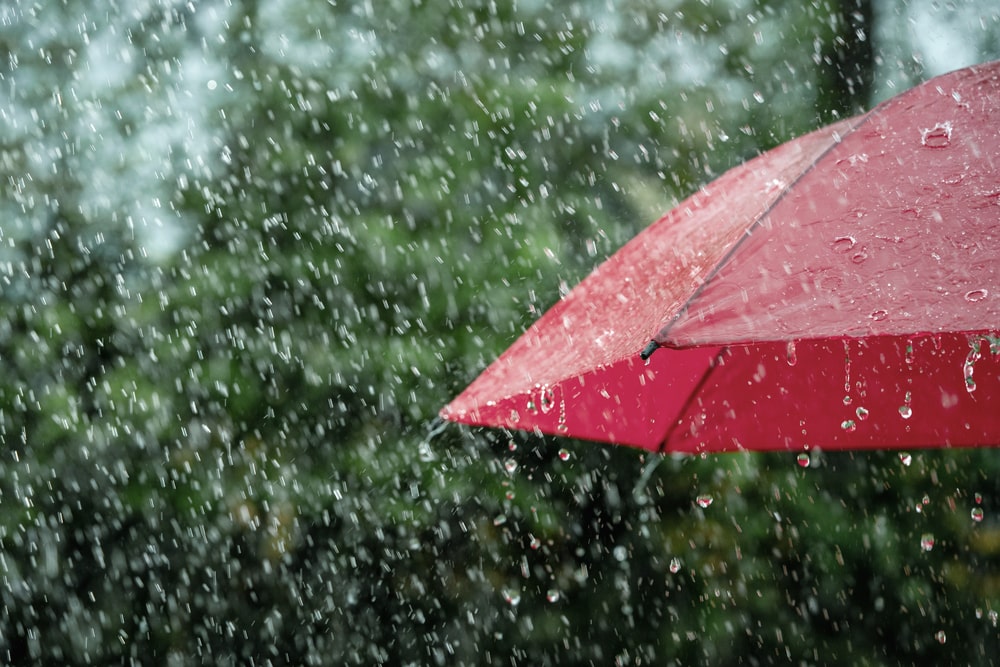 5 risks of DIY water damage remediation in Renton, WA