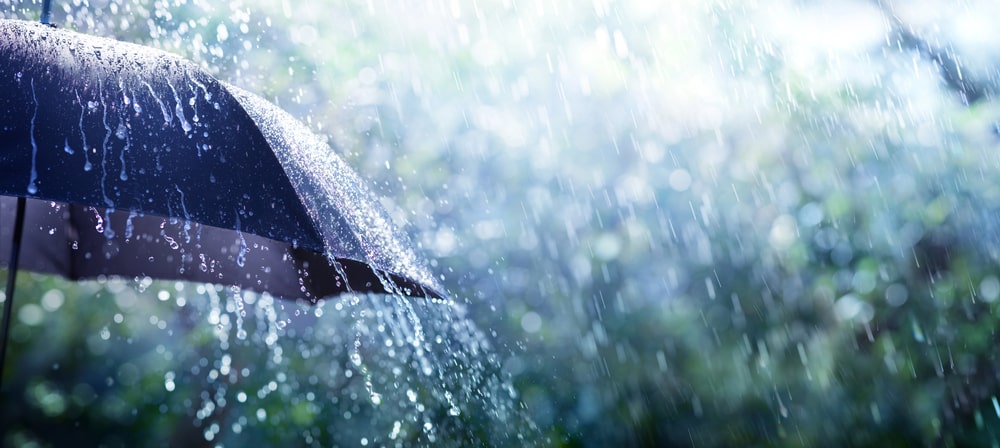 Water Damage Cleanup Service Renton, WA Water Damage Cleanup Service Renton, WA