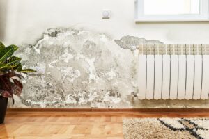residential water damage services Renton, WA