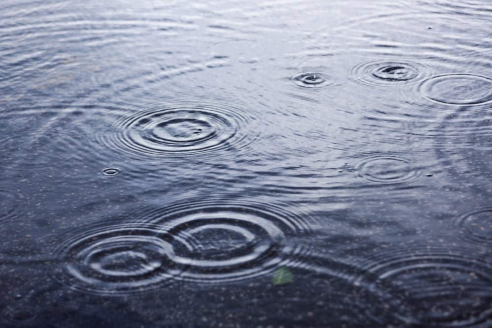 Burst Pipe Water Damage Renton WA